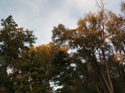 IMG_20171016_182801.jpg