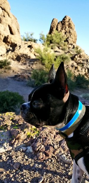 20170922_112520.jpg