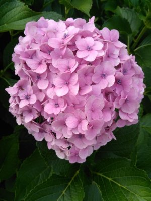 IMG_20170913_131802.jpg