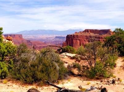 canyonlands.jpg