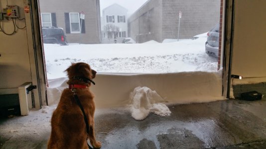 20150127_080817.jpg