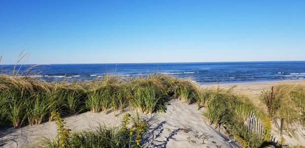 SandyNeck_1.jpg