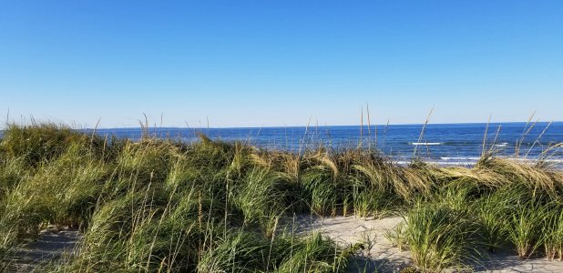 SandyNeck_2.jpg