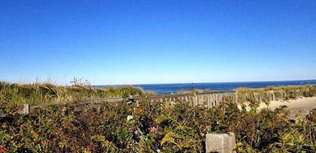 SandyNeck_4.jpg