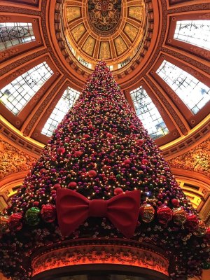 IMG_20171125_210805-01.jpeg