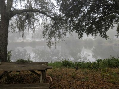 Foggy morning.jpg