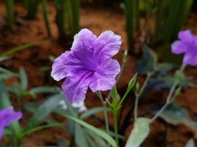20170926_120521.jpg