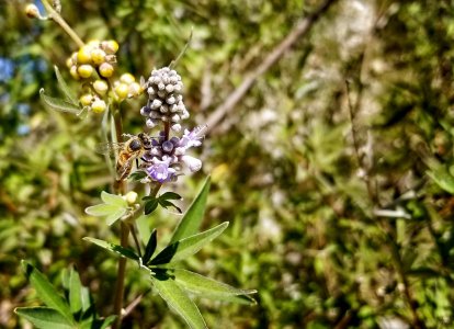 20170925_125708.jpg