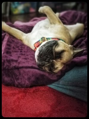 20170925_162217-01.jpg