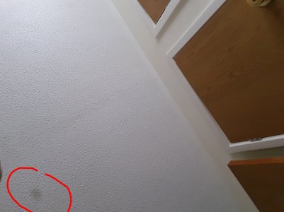 20171018_143820.jpg