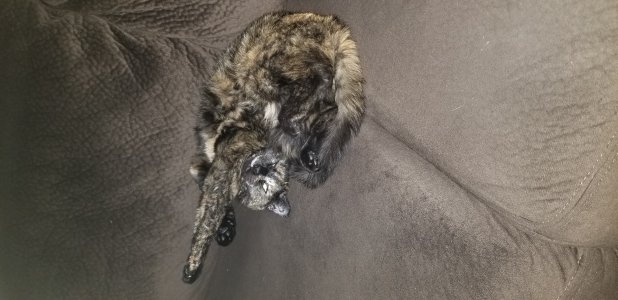 20171019_012842.jpg