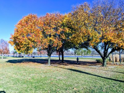 MVIMG_20171124_145115-EFFECTS.jpg