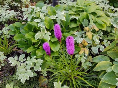 20170919_151109.jpg
