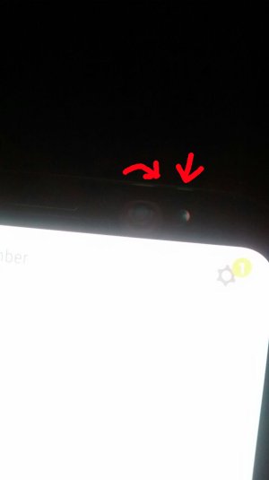 gs8.jpg