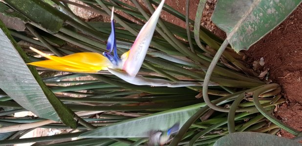 20170928_125735[1].jpg