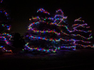MVIMG_20171120_035557.jpg