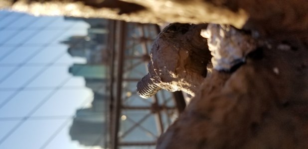 20171124_152508.jpg