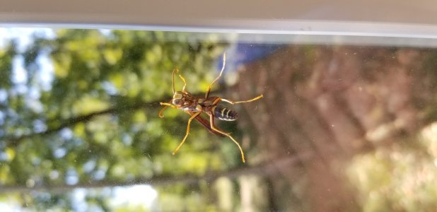 20170929_125005.jpg