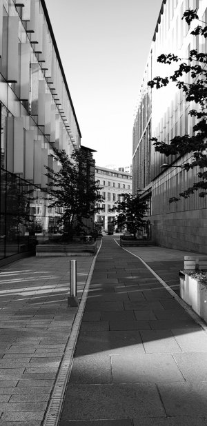 20170929_161703-01.jpg