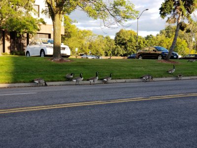 20170929_175208.jpg