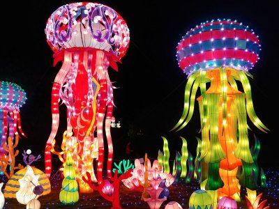Chinese Lanterns.jpg