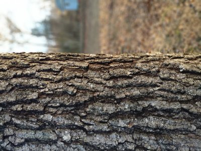 IMG_20171130_153627.jpg