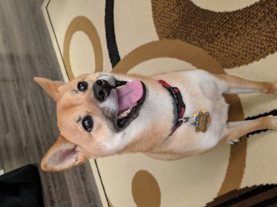 00000PORTRAIT_00000_BURST20171020193726600.jpg