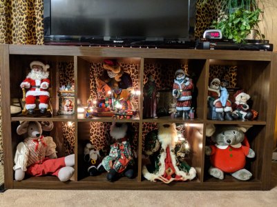 IMG_20171130_193025.jpg