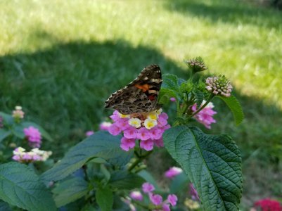 20170928_143330.jpg