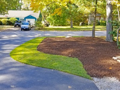 Yard_After_3.jpg Yard_After_3.jpg