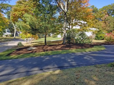 Yard_After_4.jpg Yard_After_4.jpg