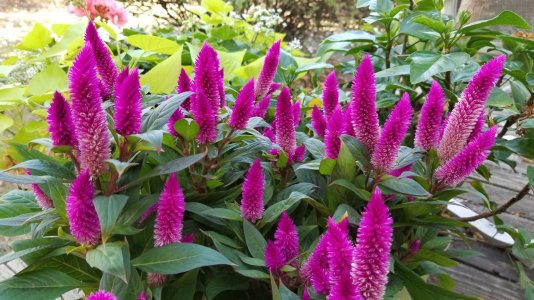 20171001_162738.jpg