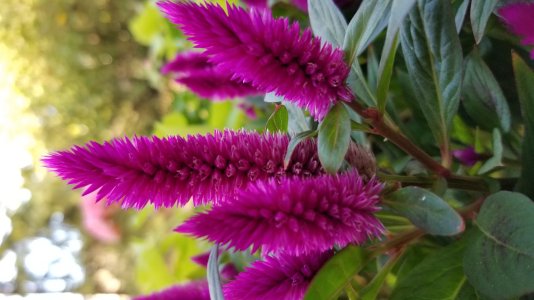 20171001_162811.jpg