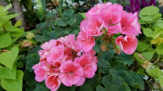20171001_162914.jpg