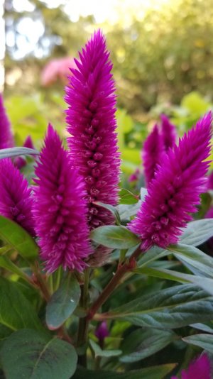 20171001_162811.jpg
