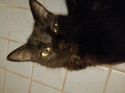 20171001_234357.jpg