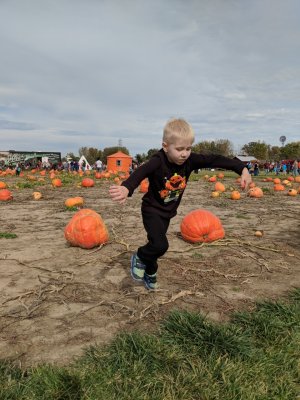 IMG_20171021_140906.jpg