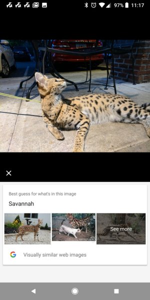 Screenshot_20171023-111738.jpg Screenshot_20171023-111738.jpg