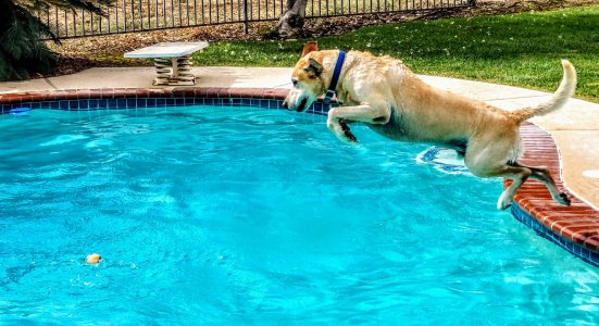 20170929_133623~3.jpg