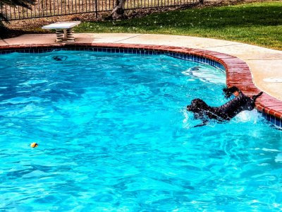 20170929_133802~2.jpg
