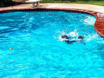 20170929_133718~2.jpg