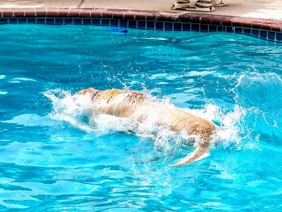 20170929_133430~2.jpg