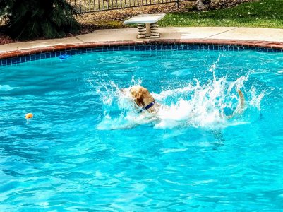 20170929_133700~2.jpg