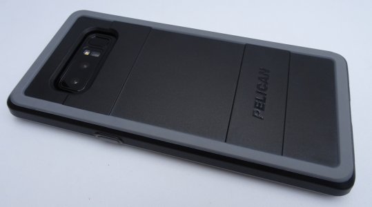 pelican01.jpg