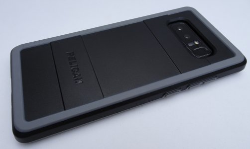 pelican02.jpg