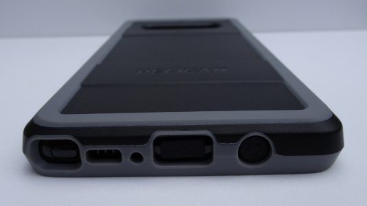 pelican03.jpg