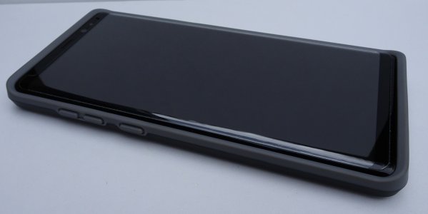 pelican05.jpg