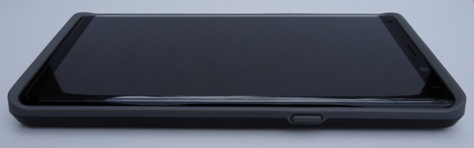 pelican06.jpg