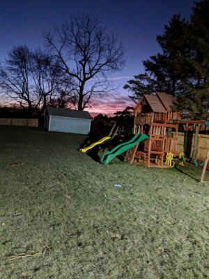 IMG_20171202_064356.jpg