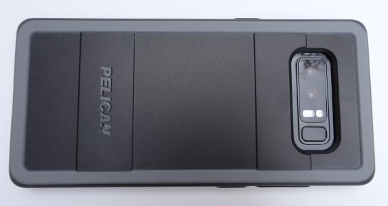pelican08.jpg